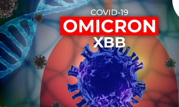 வாட்ஸ் அப் தகவல் பொய்யானது வாட்ஸ் அப் தகவல் பொய்யானது