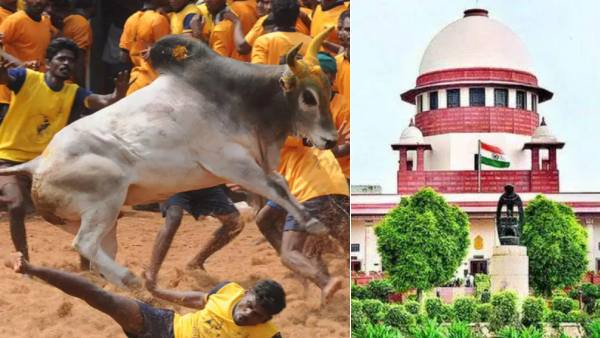 மனிதர்களின் நலனுக்கானது