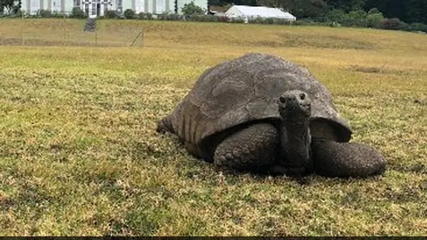 190 ஆண்டுகள் 190 ஆண்டுகள்