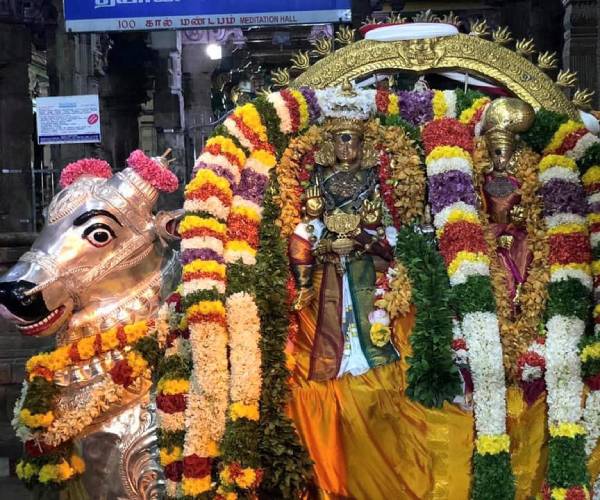 Madurai Meenakshi Amman Temple,Ashtami Chapparam Festival 2022 Padiyalakkum Sivaperuman 