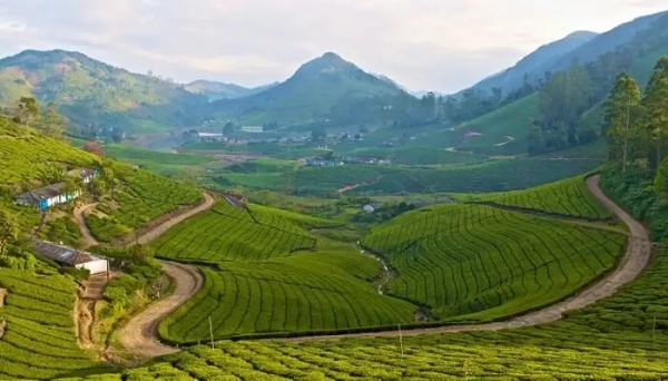 சுற்றுலா இலாகா