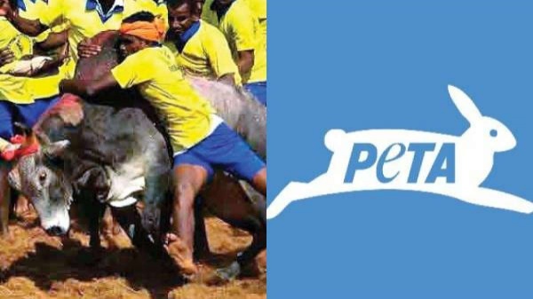 புள்ளி விவரம்