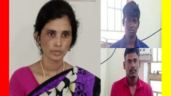 முள்செடி முள்செடி