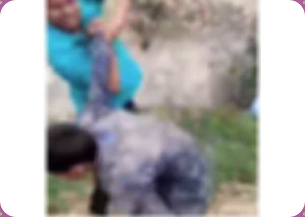 ஆய்வு ஆய்வு