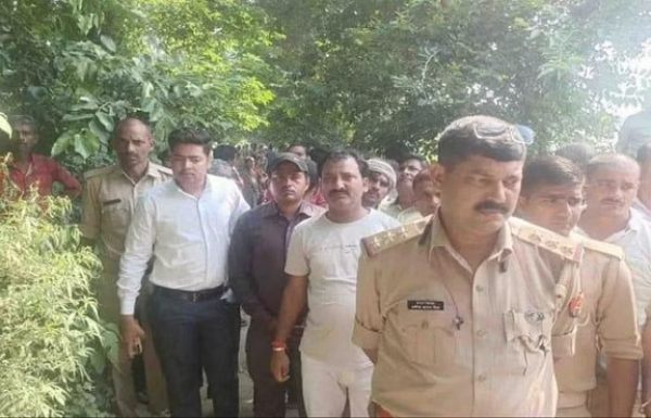 விஷப்பால் 