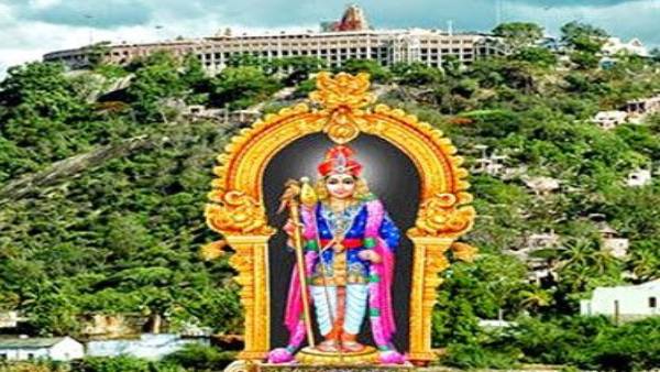 பழனி முருகன் கோயில் 