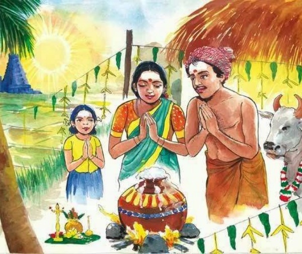 பொங்கல் பண்டிகை 