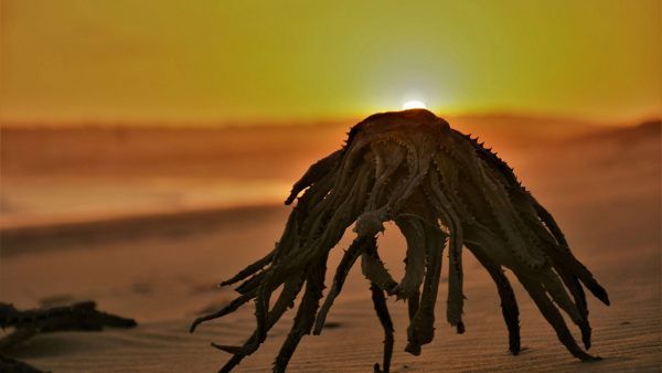 15 நிமிடங்கள் 