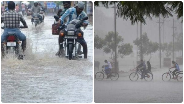 மின் இணைப்பு, சமையல் எரிவாயு இணைப்பை.. 