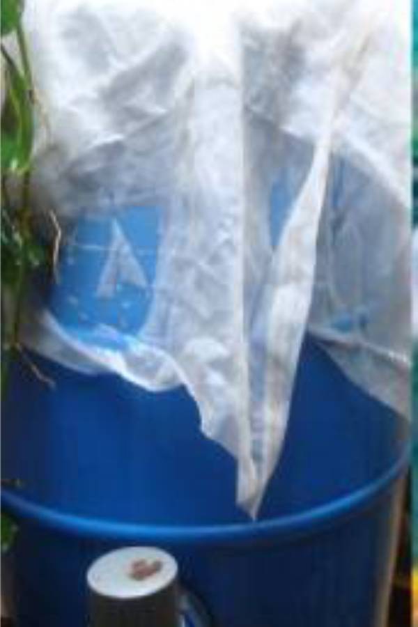 தண்ணீர் டிரம்