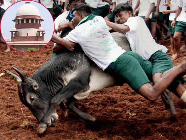 தீர்ப்பு ஒத்திவைப்பு தீர்ப்பு ஒத்திவைப்பு