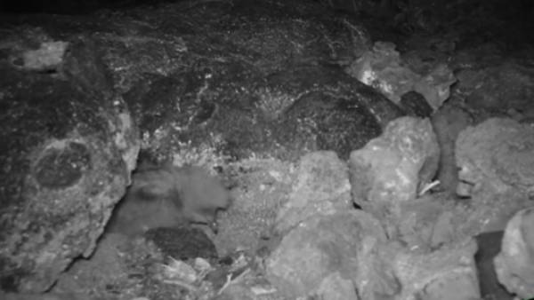 நீண்ட நாட்களுக்கு பிறகு நீண்ட நாட்களுக்கு பிறகு