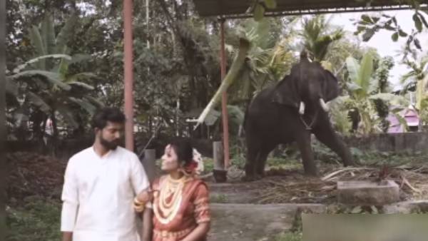 கேரளா