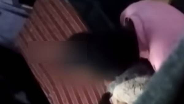 விசாரணை