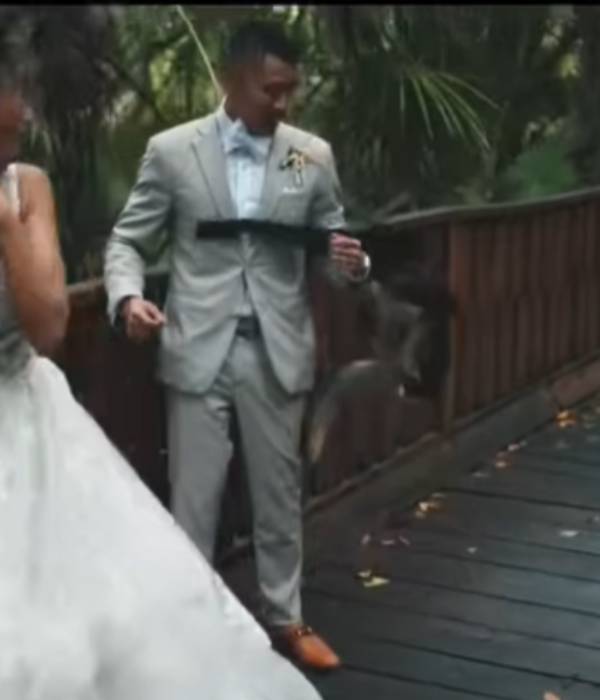 நானும் போட்டோவுக்கு போஸ் கொடுப்பேன்