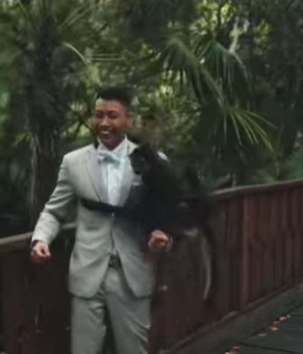 இணையத்தில் பரவும் வீடியோ