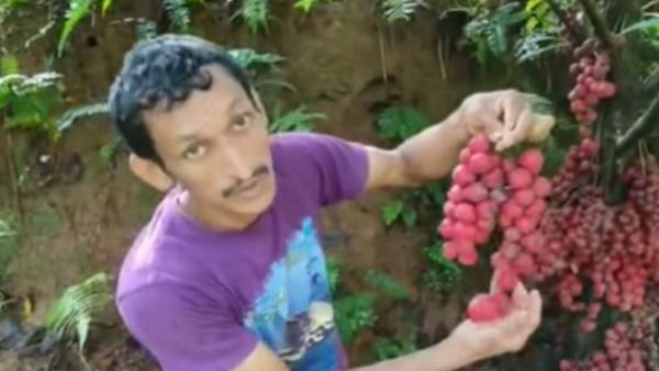 முயற்சி