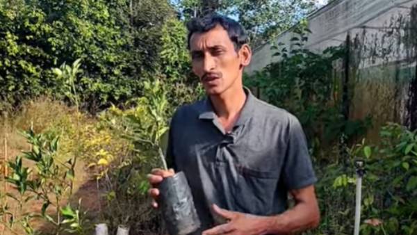 40 நாடுகள்