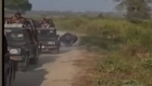 மிரண்டு போன சுற்றுலா பயணிகள் மிரண்டு போன சுற்றுலா பயணிகள்