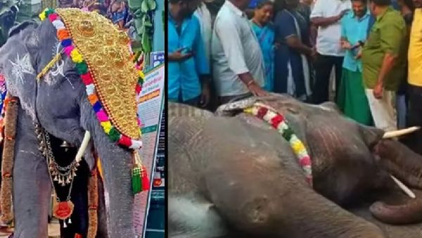 5 வயது லட்சுமி 