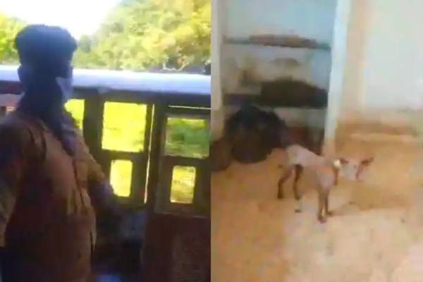 பகீர் வீடியோ பகீர் வீடியோ