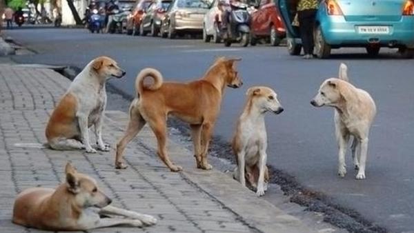 கருத்தடை கருத்தடை