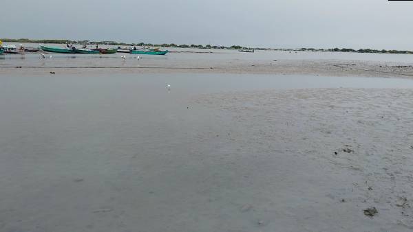 கடலோர பகுதிகளுக்கு செல்ல வேண்டாம் கடலோர பகுதிகளுக்கு செல்ல வேண்டாம்