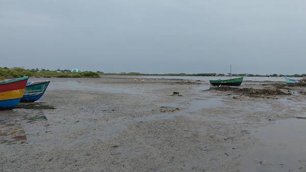 கடல் நீர் திடீரென உள்வாங்கியது கடல் நீர் திடீரென உள்வாங்கியது