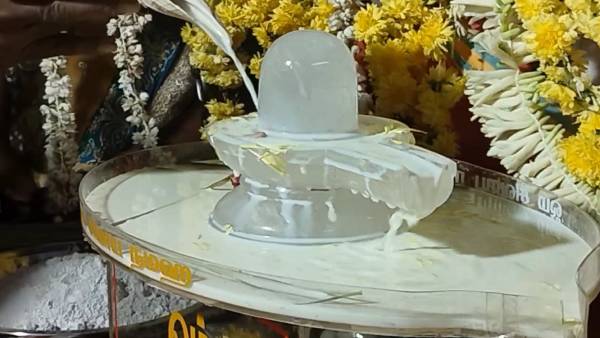  விசிகவை தடை செய்ய வேண்டும்