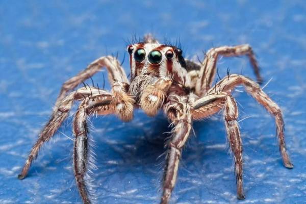 பிரச்சனைக்கு தீர்வு 