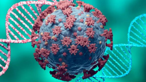  பி.எஃப்-7