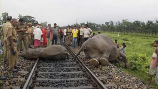 தமிழ்நாடு 