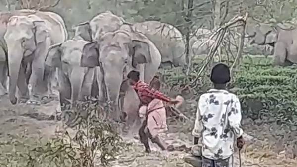 நெட்டிசன்கள் கோபம் 