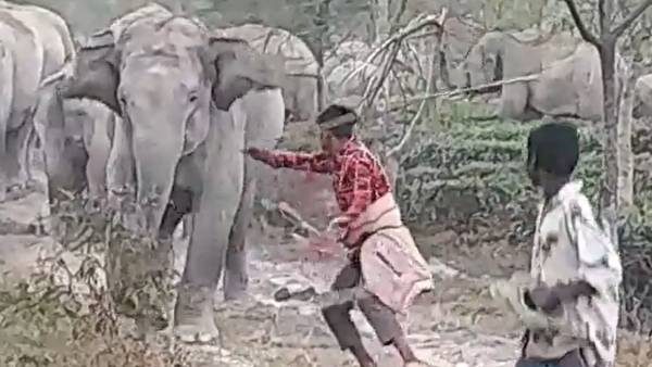 மனிதர்கள் பூமியில் வாழ தகுதியற்றவர்கள் 