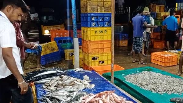 மீன்கள் பறிமுதல் மீன்கள் பறிமுதல்