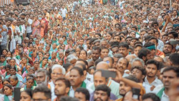 பித்தலாட்டம் 