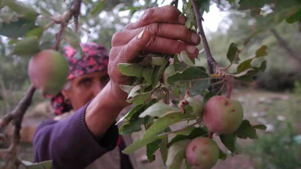 30 ஆண்டுக்கு முந்தைய போராட்டம் 