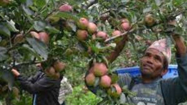 மீண்டும் வெடித்த போராட்டம் 