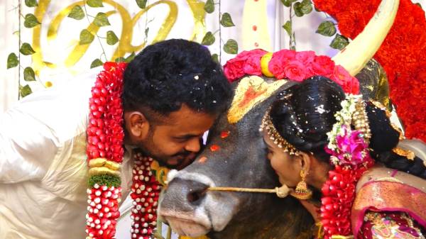 மணமக்களுக்கு வாழ்த்து மணமக்களுக்கு வாழ்த்து