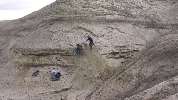  வாய்ப்பில்ல ராஜா 