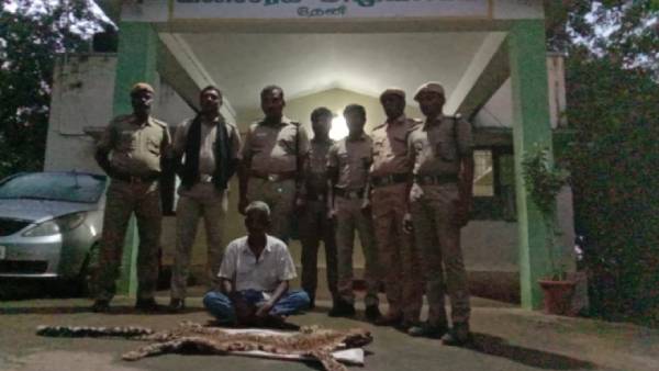 விசாரணை விசாரணை