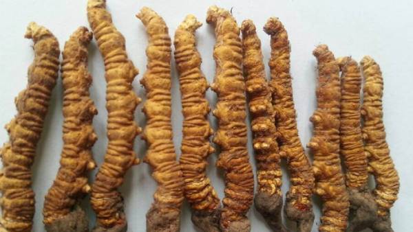  ரூ 8 ஆயிரம் கோடி