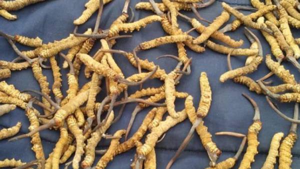  வாழ்வாதாரம் பாதிப்பு