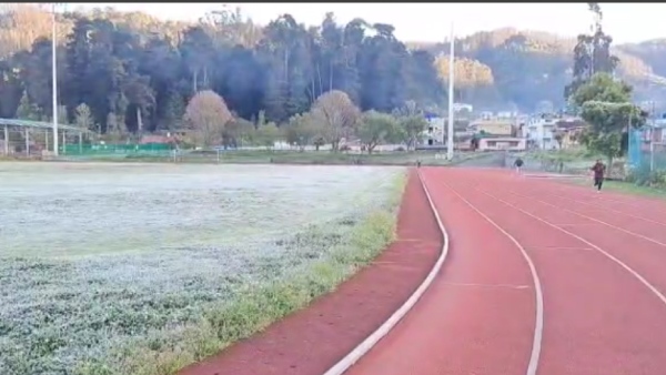 சுற்றுலாப் பயணிகள் 