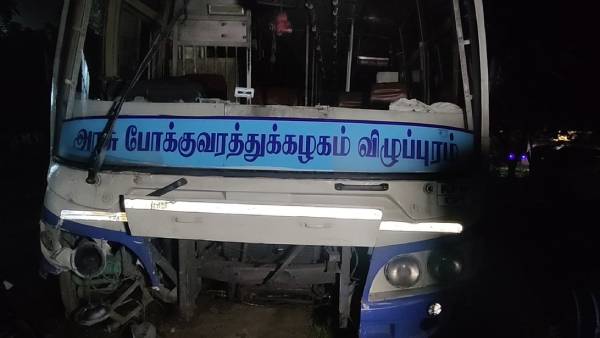 100 ஆடுகள் பலி 100 ஆடுகள் பலி