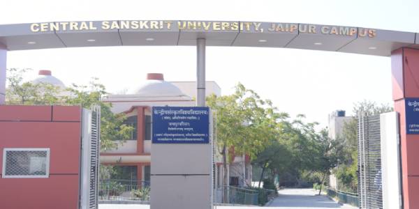 மொழி வளர்ச்சி நிறுவனங்கள் 