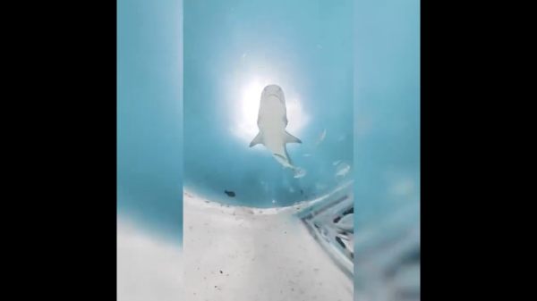  சுற்றுலா தளம்