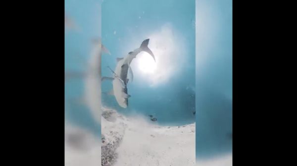  இன்னொரு பெயர்