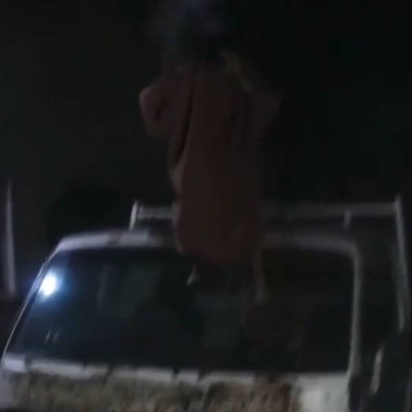  பாம்பன் சித்தர் 