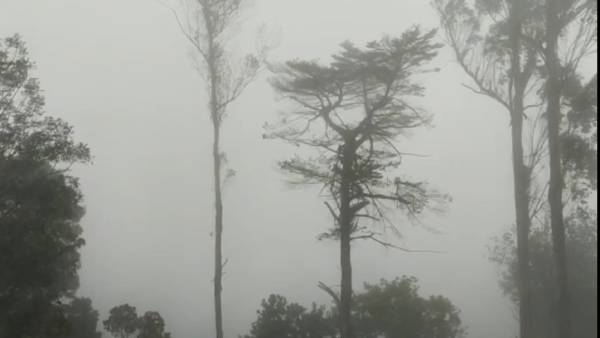  சுற்றுலா பயணிகள் 